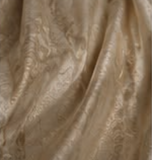 Banarasi Tissue Silk — Golden